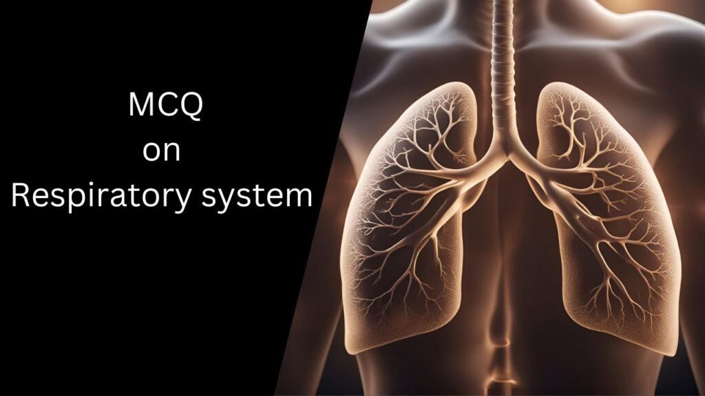 MCQs on Respiratory System