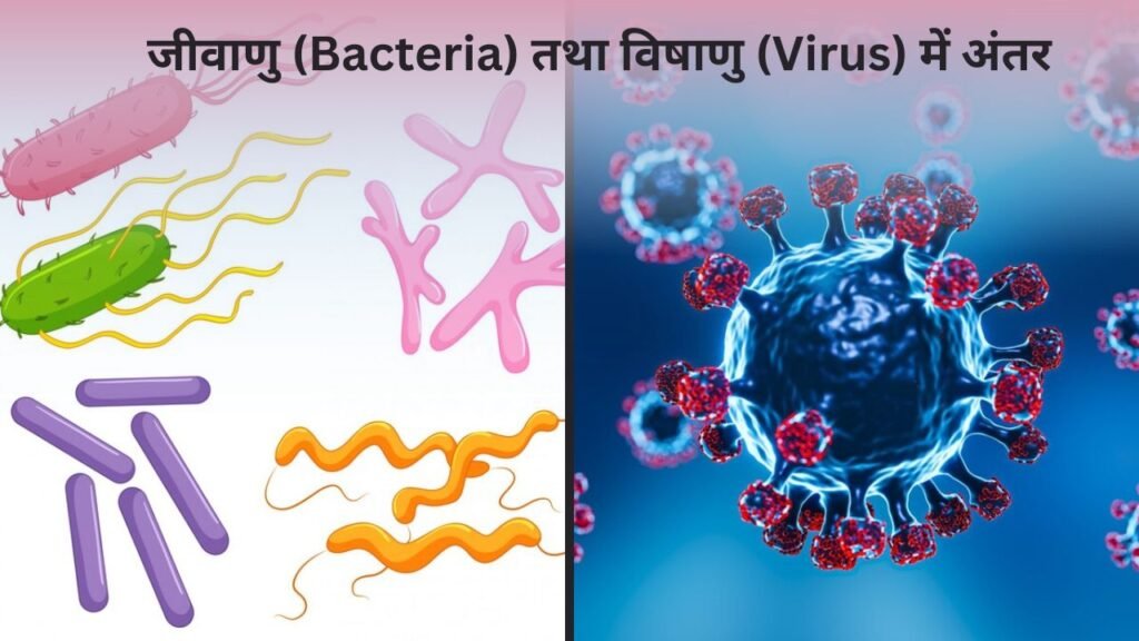 जीवाणु (Bacteria) तथा विषाणु (Virus) में अंतर