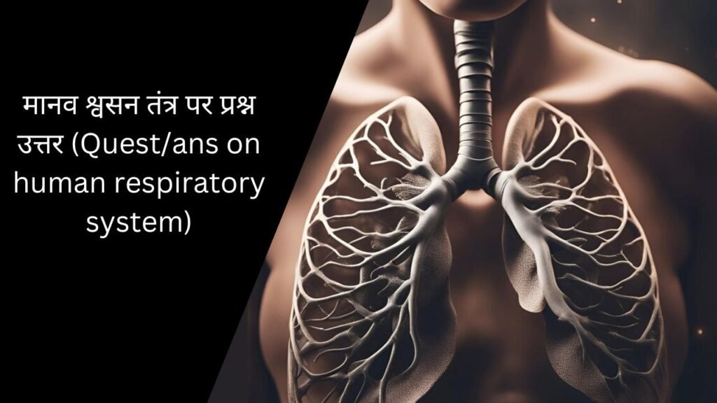 मानव श्वसन तंत्र पर प्रश्न उत्तर (Quest/ans on human respiratory system)