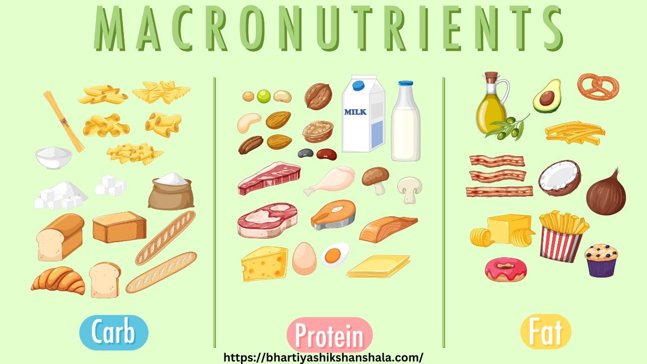 MCQs on Macronutrients| in Hindi