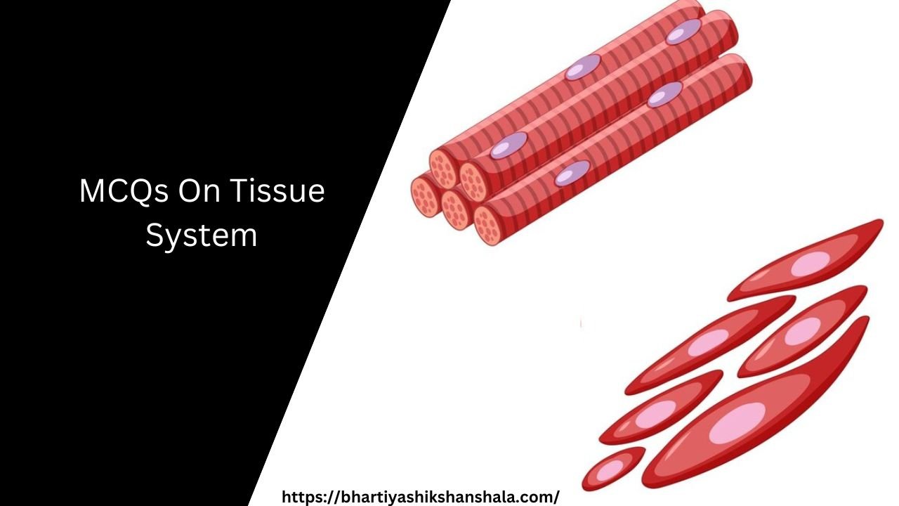 MCQs On Tissue System