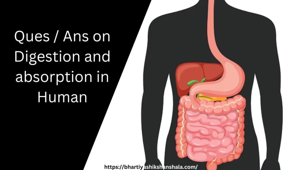 Ques / Ans on Digestion and absorption in human