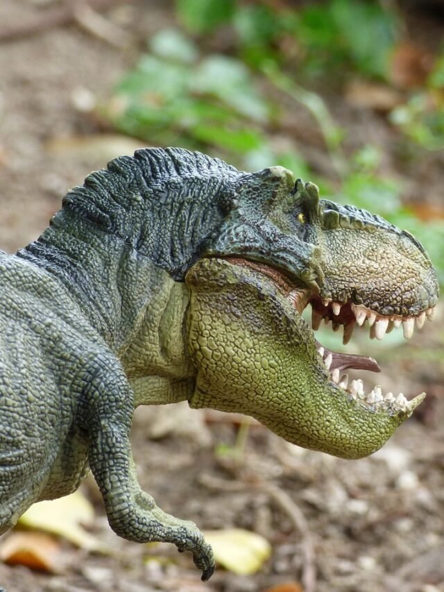 स्तनी जीवों के बारे में कुछ तथ्य