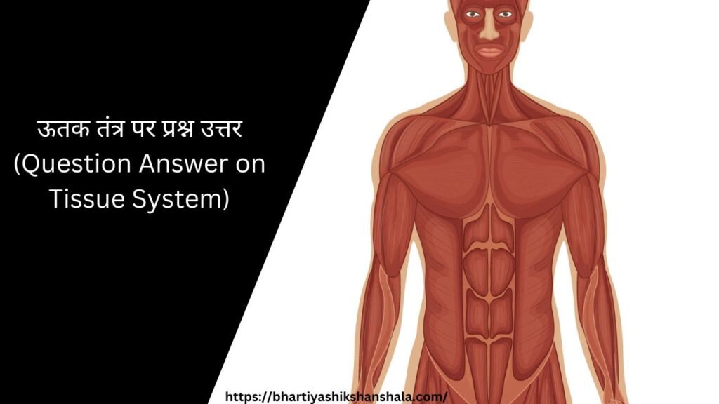 ऊतक तंत्र पर प्रश्न उत्तर (Question Answer on Tissue System)