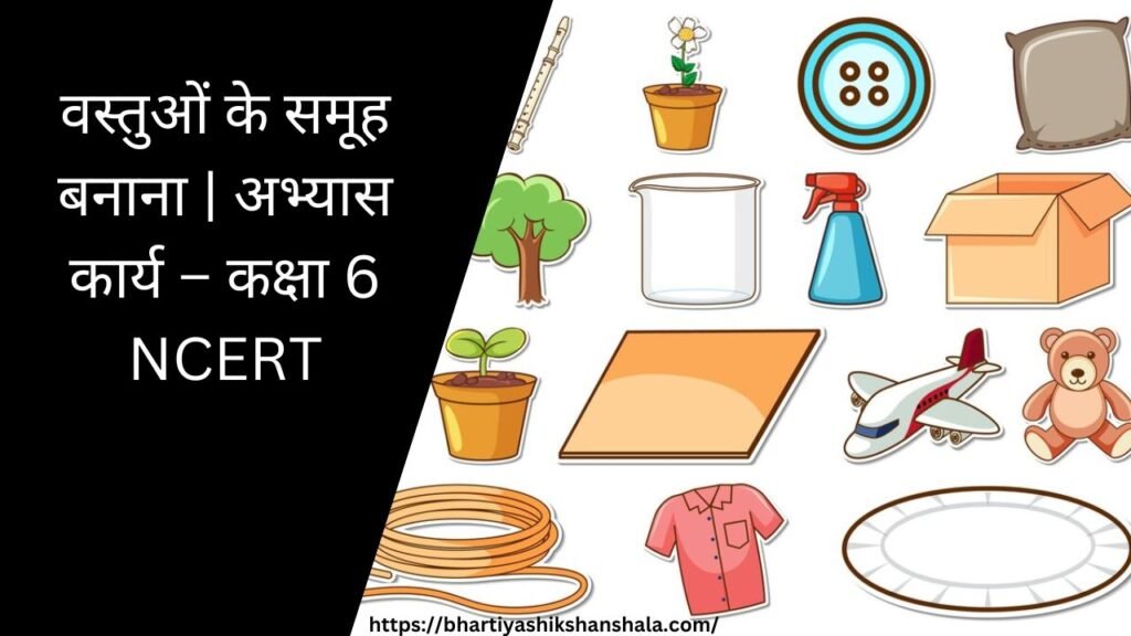 वस्तुओं के समूह बनाना | अभ्यास कार्य - कक्षा 6 NCERT