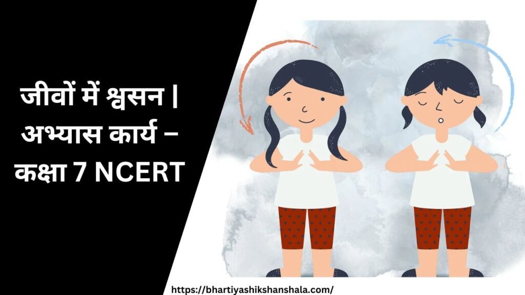 जीवों में श्वसन | अभ्यास कार्य – कक्षा 7 NCERT