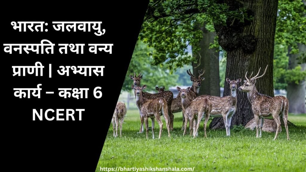 भारत: जलवायु, वनस्पति तथा वन्यप्राणी | अभ्यास कार्य - कक्षा 6 NCERT