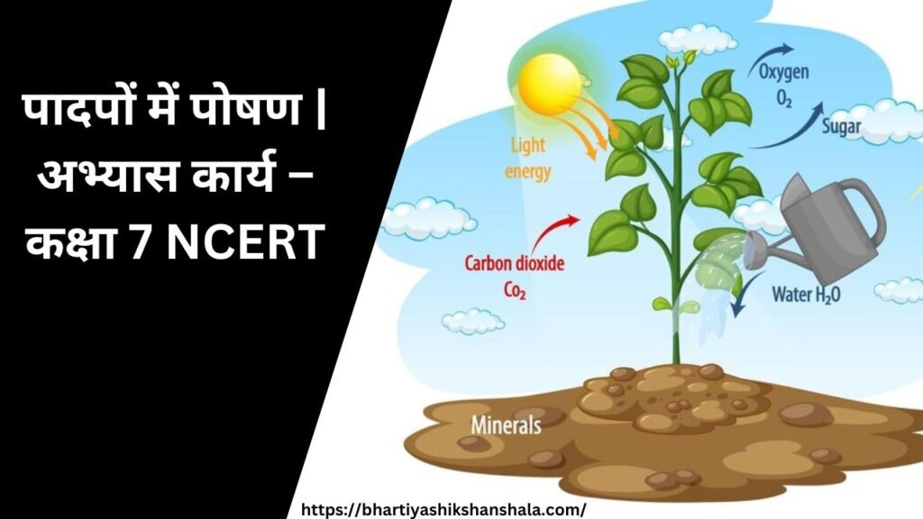 पादपों में पोषण | अभ्यास कार्य - कक्षा 7 NCERT