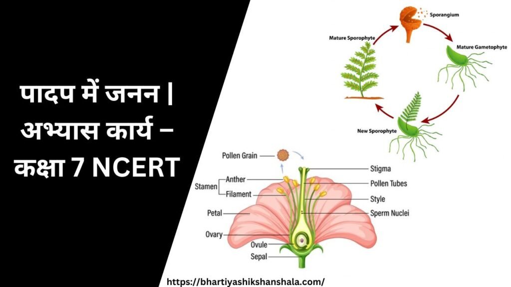 पादप में जनन | प्रश्न - उत्तर कक्षा 7 NCERT