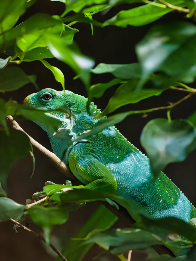 10 ऐसे जानवर जिनकी जीवन अवधि है सबसे लम्बी