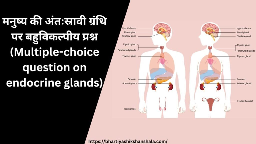 मनुष्य की अंतःस्रावी ग्रंथि पर बहुविकल्पीय प्रश्न (Multiple-choice question on endocrine glands)