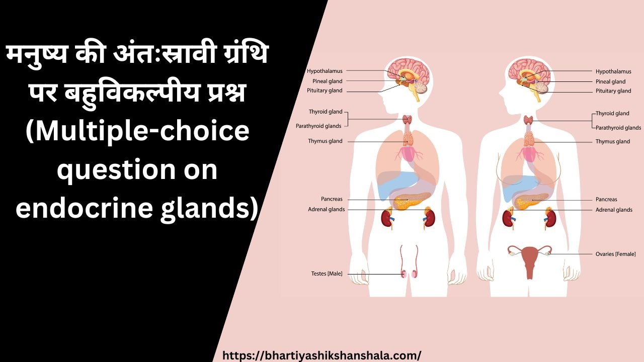 मनुष्य की अंतःस्रावी ग्रंथि पर बहुविकल्पीय प्रश्न (Multiple-choice question on endocrine glands)