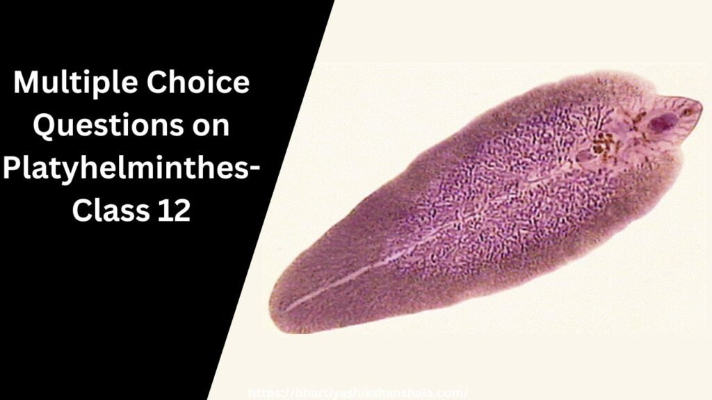 Multiple Choice Questions on Platyhelminthes- Class 12 |in hindi