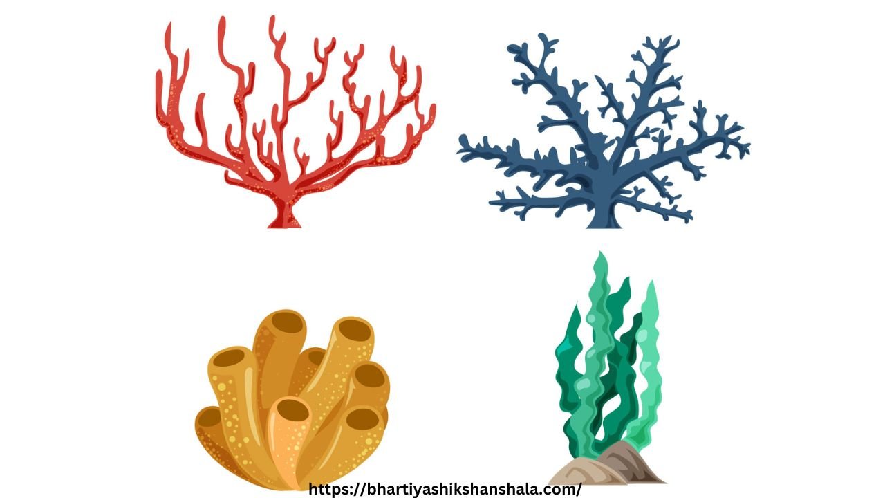 MCQ on Phylum Porifera