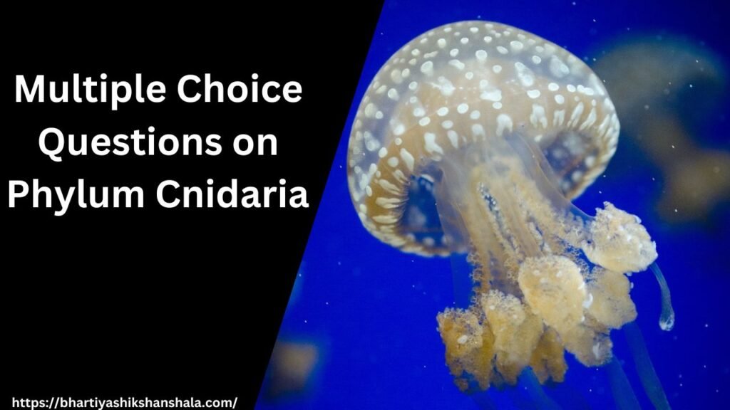 Multiple Choice Questions on Phylum Cnidaria - Class 12 | in hindi