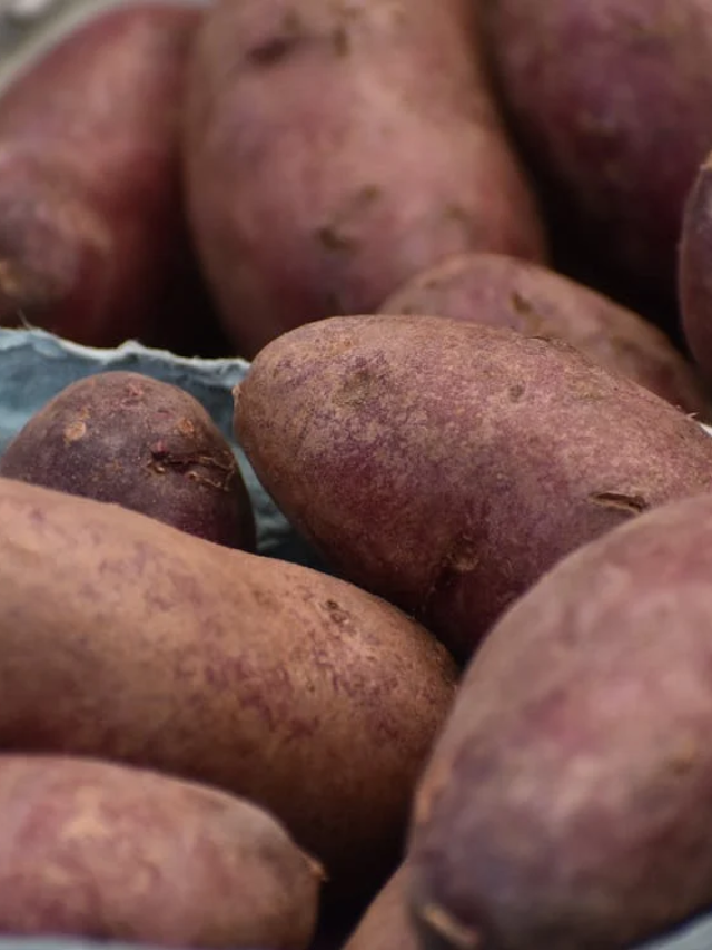 शकरकंद के होते हैं यह 9 फायदे