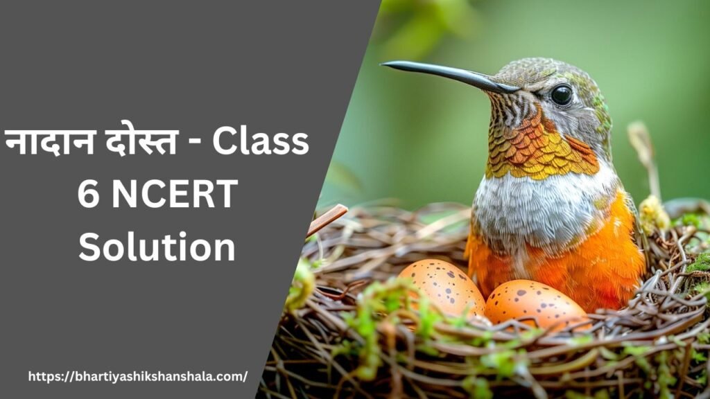 नादान दोस्त - Class 6 NCERT Solution