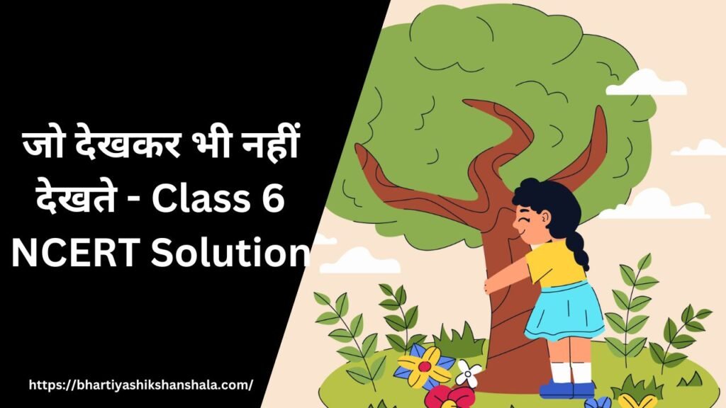 जो देखकर भी नहीं देखते – Class 6 NCERT Solution