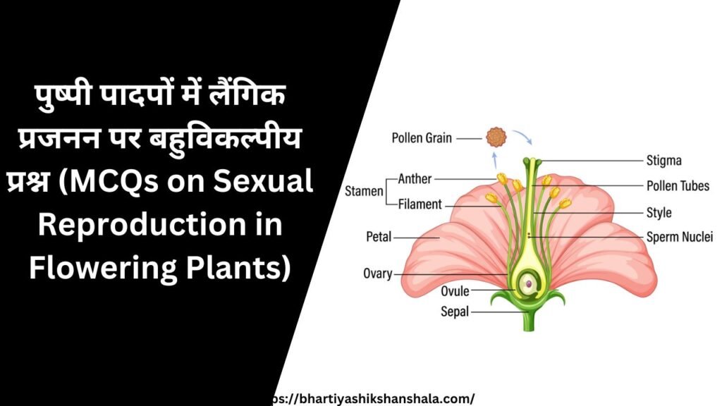 पुष्पी पादपों में लैंगिक प्रजनन पर बहुविकल्पीय प्रश्न |in Hindi