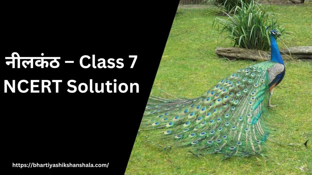 नीलकंठ – Class 7 NCERT Solution