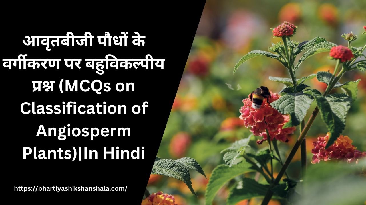 आवृतबीजी पौधों के वर्गीकरण पर बहुविकल्पीय प्रश्न|In Hindi