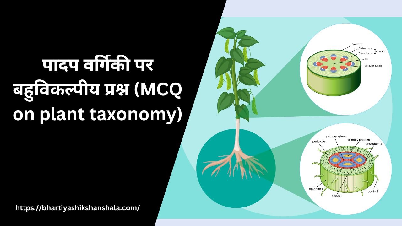 पादप वर्गिकी पर बहुविकल्पीय प्रश्न|In Hindi