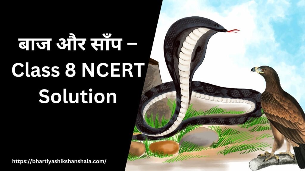 बाज और साँप – Class 8 NCERT Solution
