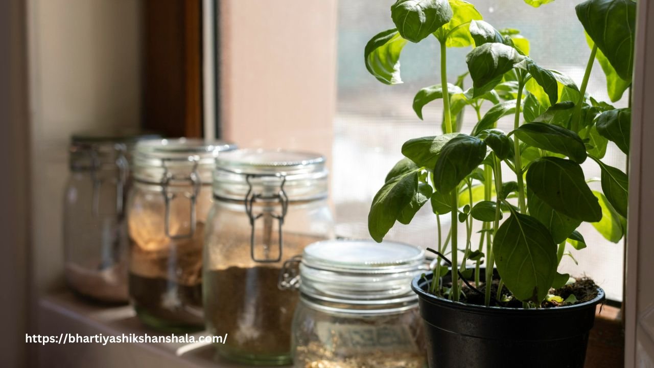 खाद्य पदार्थों का संचयन पर बहुविकल्पीय प्रश्न (MCQs on the Storage of Food Substances)