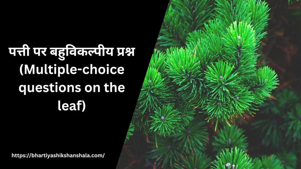 पत्ती पर बहुविकल्पीय प्रश्न (Multiple-choice questions on the leaf)