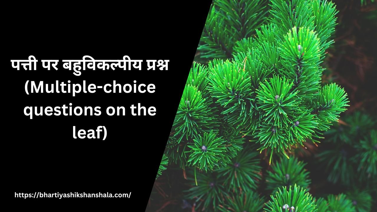 पत्ती पर बहुविकल्पीय प्रश्न (Multiple-choice questions on the leaf)